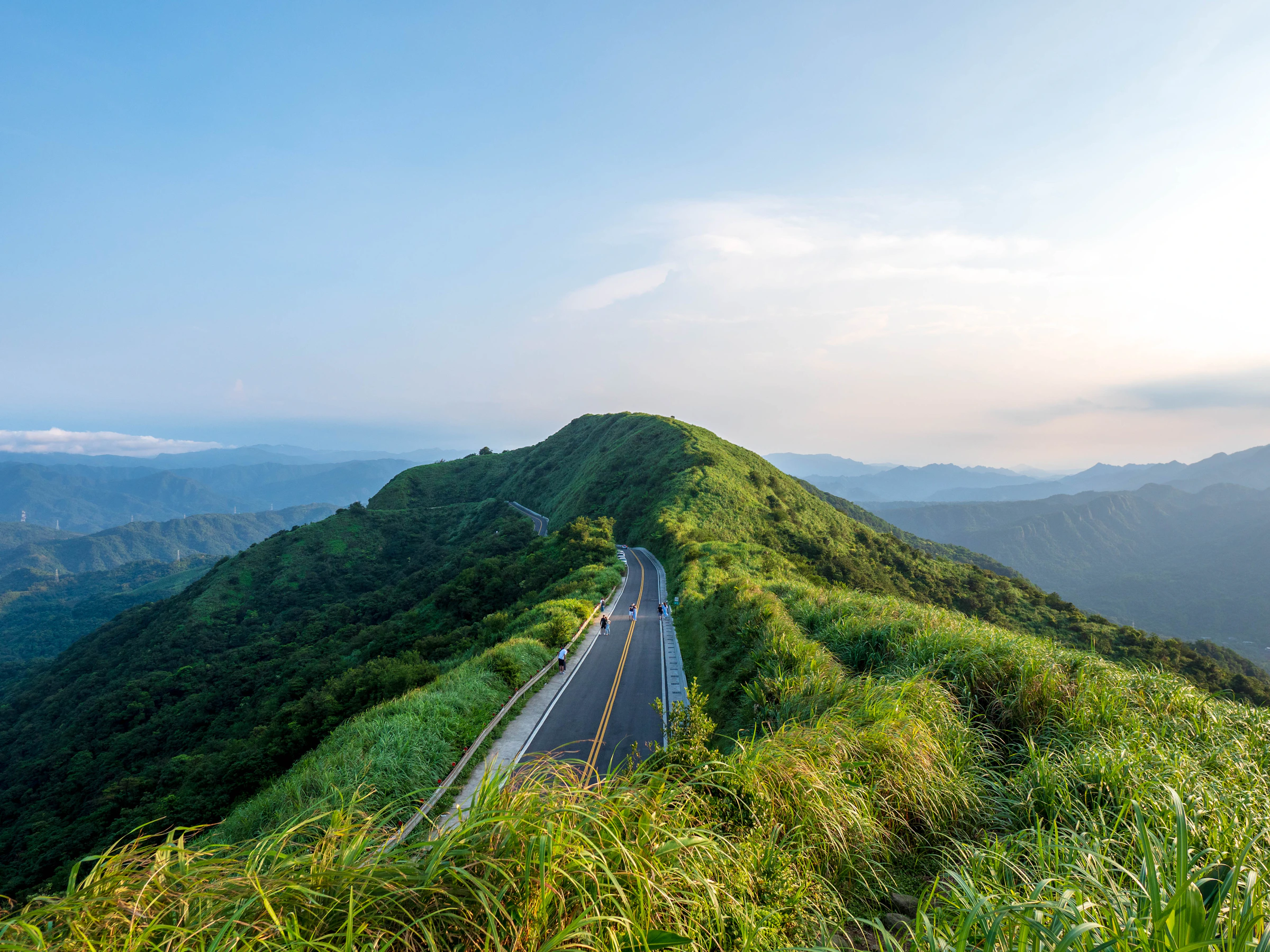 台灣山林